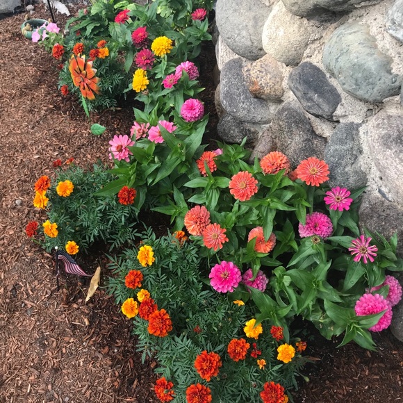 Hello - Picture 8 of 16